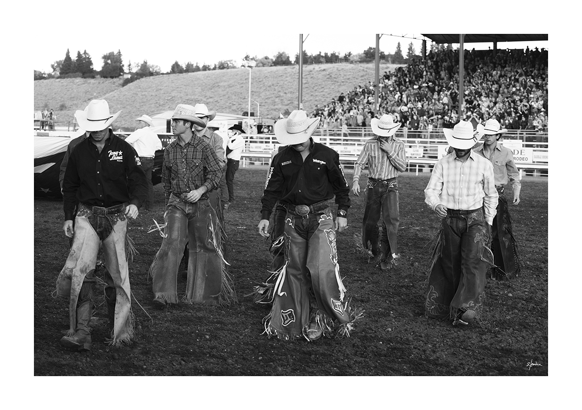Ready To Fight Beau De Lom nie Western Art